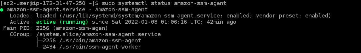 AWS SSM: Do you really need SSH? How to connect to EC2 using Session Manager